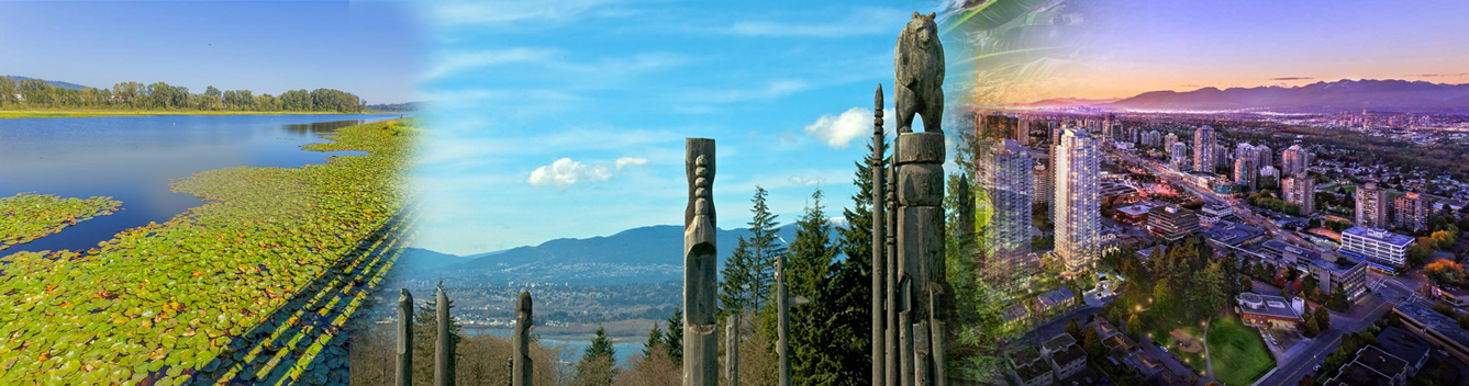 burnaby movers